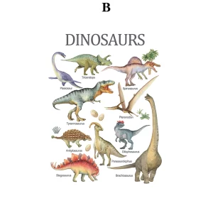 Buy Kf sacc e ce e ac ca a i in Ghana.